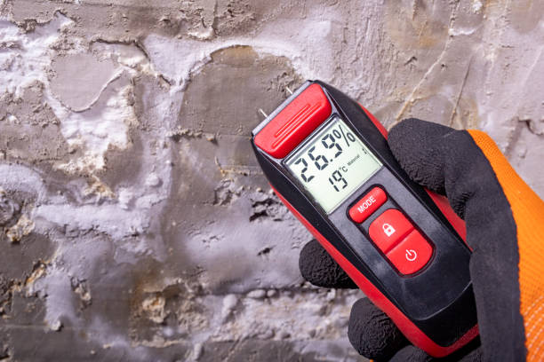 Best Residential Mold Removal  in Gonzales, LA