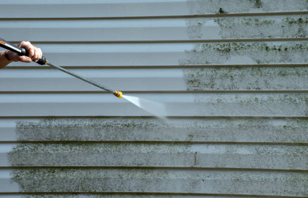 Best Mold Damage Repair  in Gonzales, LA