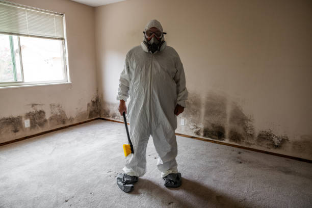 Best Mold Removal Process  in Gonzales, LA